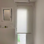 Dahlia 阿尔戈斯托利翁