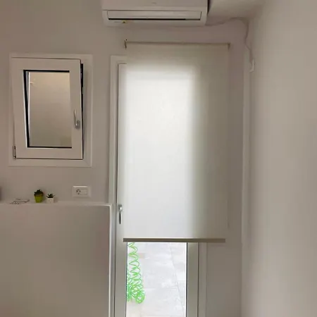 Dahlia 阿尔戈斯托利翁